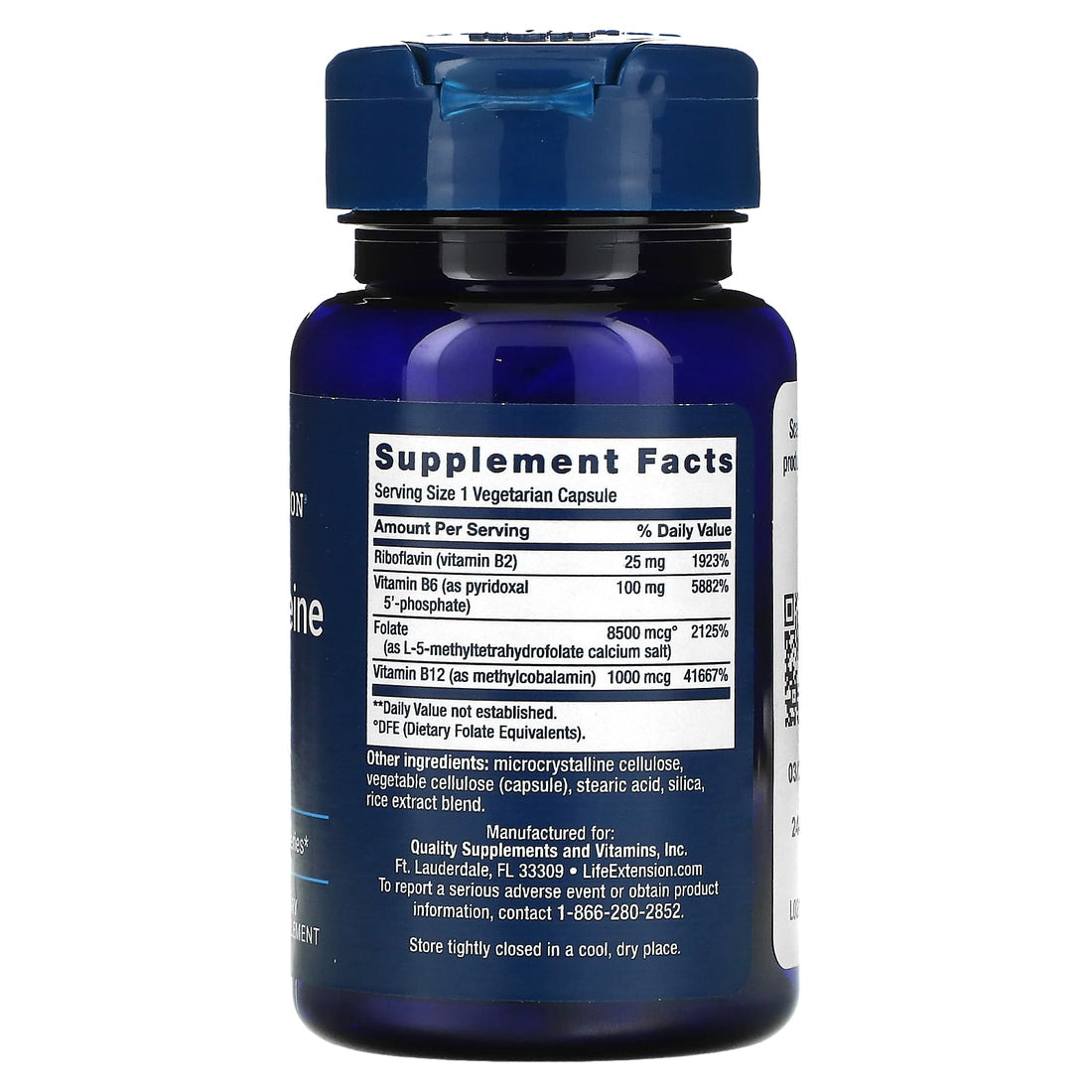Homocysteine Resist, 60 Vegetarian Capsules